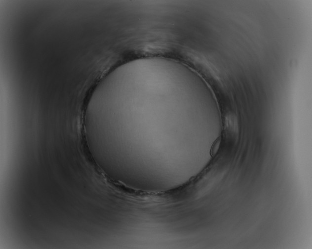 X0000092111300200710031223