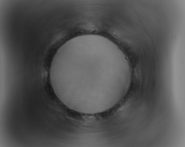 X0000092111302200710031223