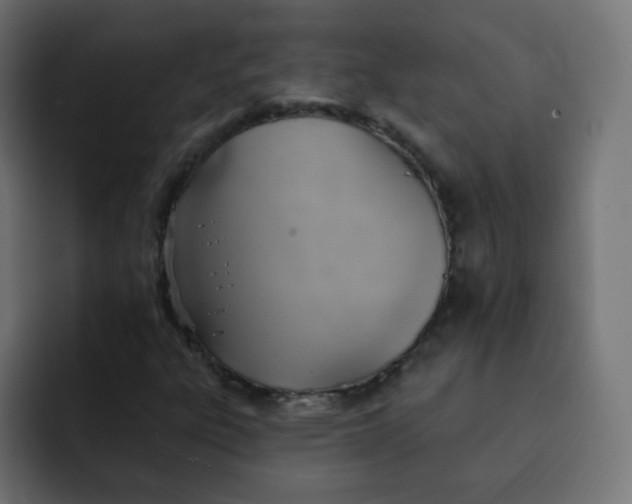 X0000092111303200710031223