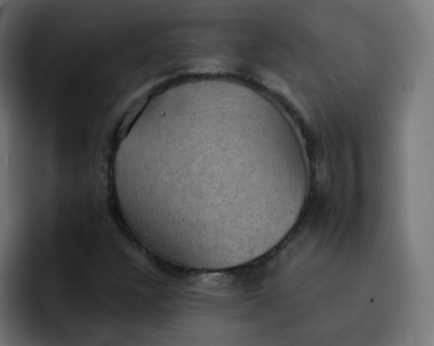 X0000092111304200710031223