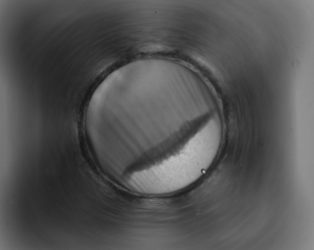 X0000092111305200710031223