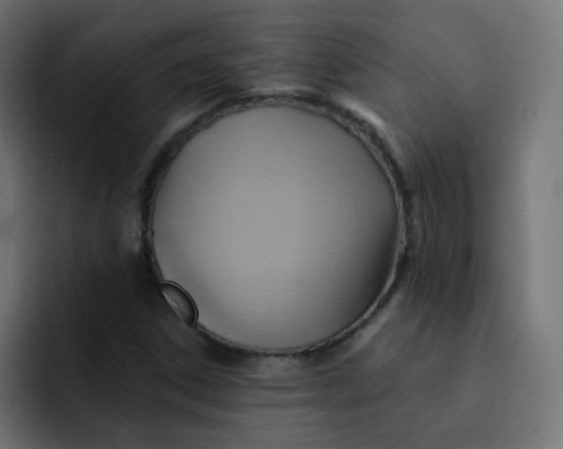 X0000092111306200710031223