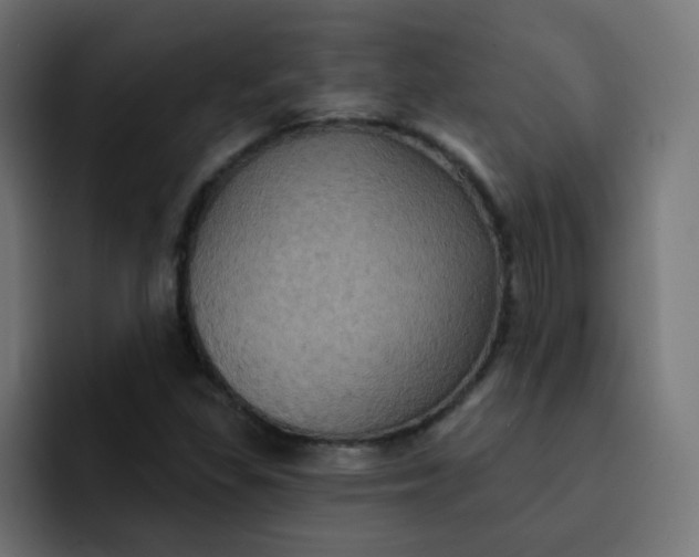 X0000092111309200710031223