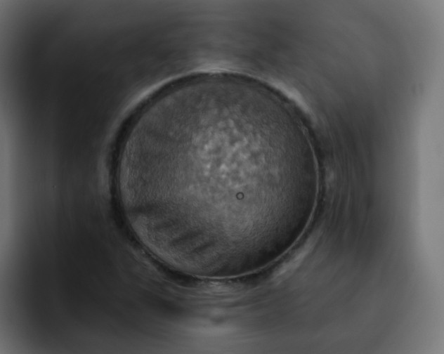 X0000092111311200710031223