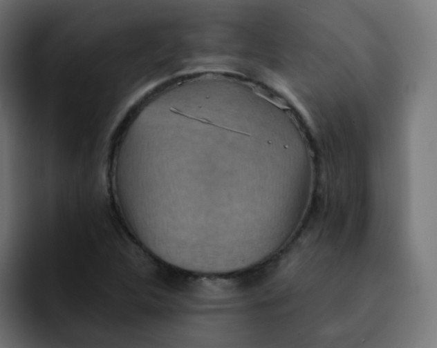 X0000092111312200710031223