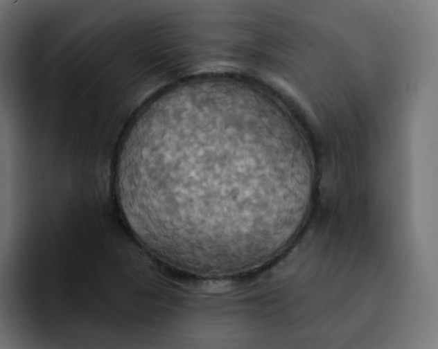 X0000092111313200710031223