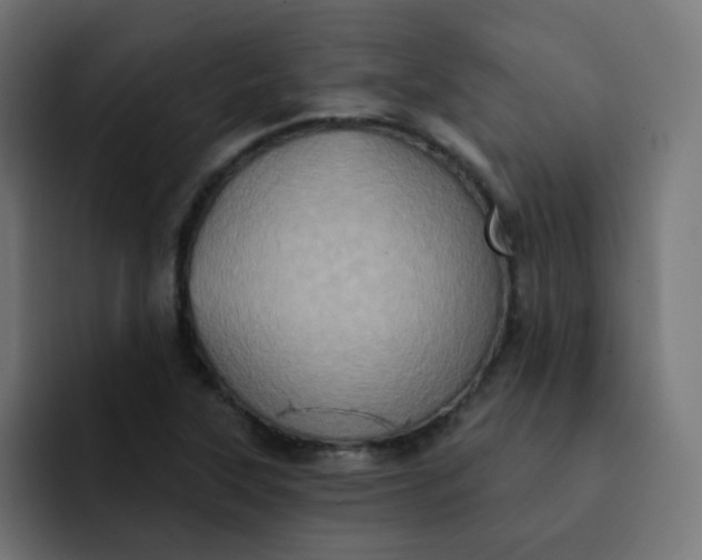 X0000092111315200710031223