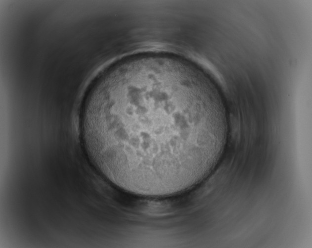 X0000092111318200710031223