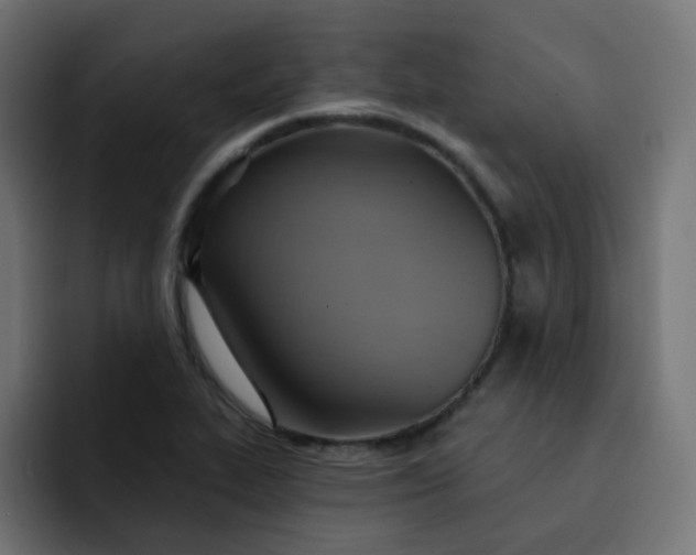 X0000092111319200710031223