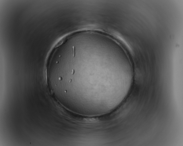 X0000092111320200710031223