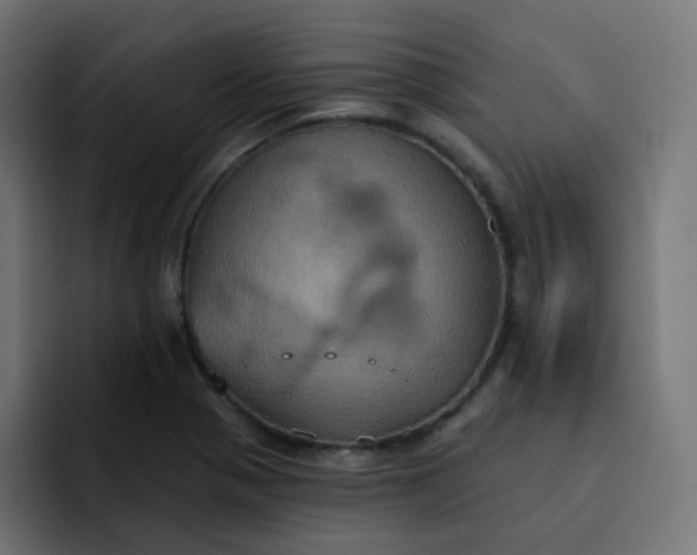 X0000092111321200710031223