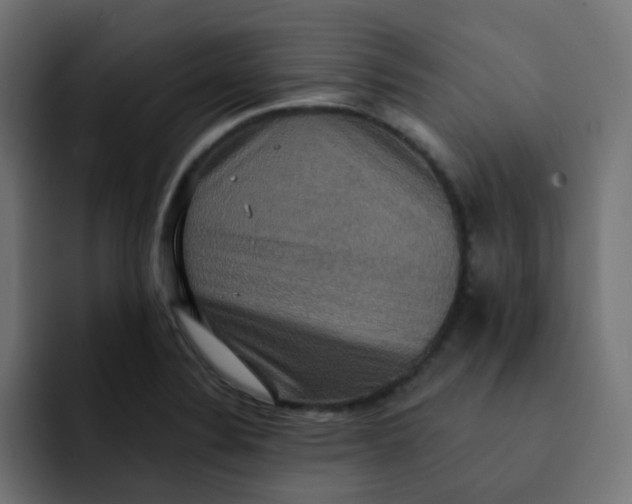 X0000092111324200710031223