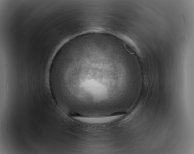 X0000092111326200710031223