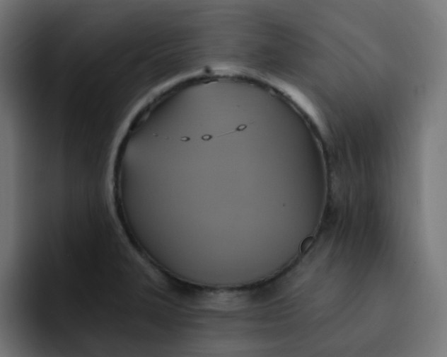 X0000092111327200710031223