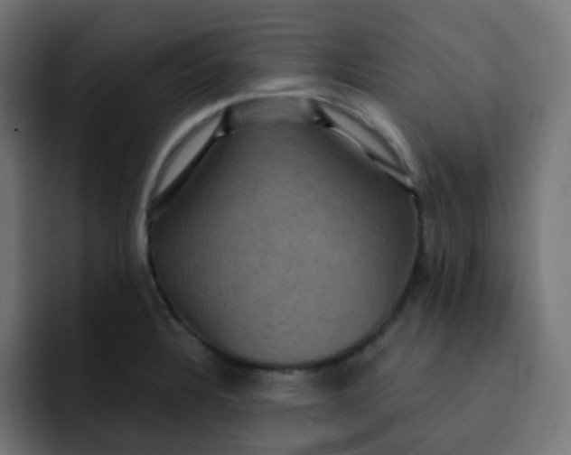 X0000092111328200710031224