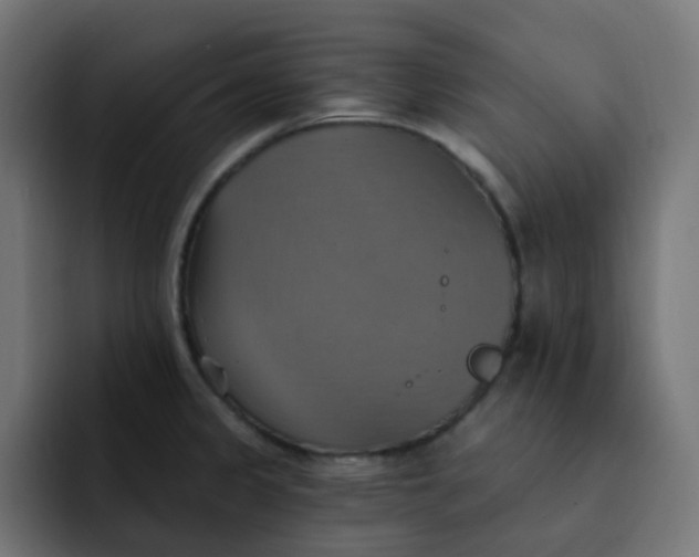 X0000092111333200710031224