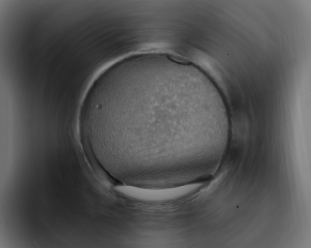 X0000092111336200710031224