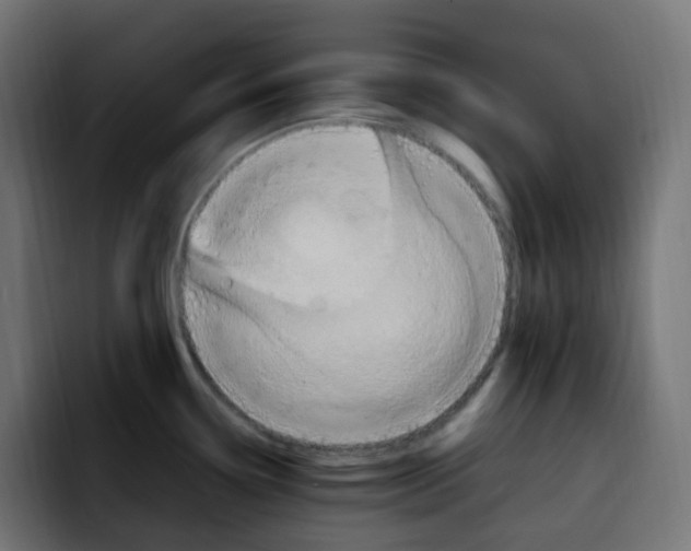 X0000092111338200710031224