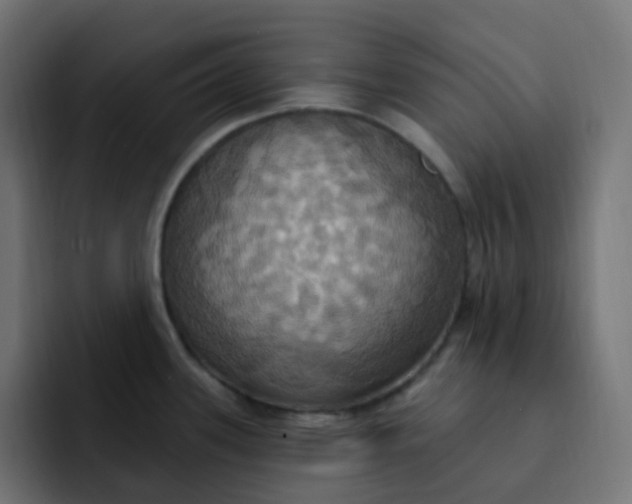 X0000092111339200710031224