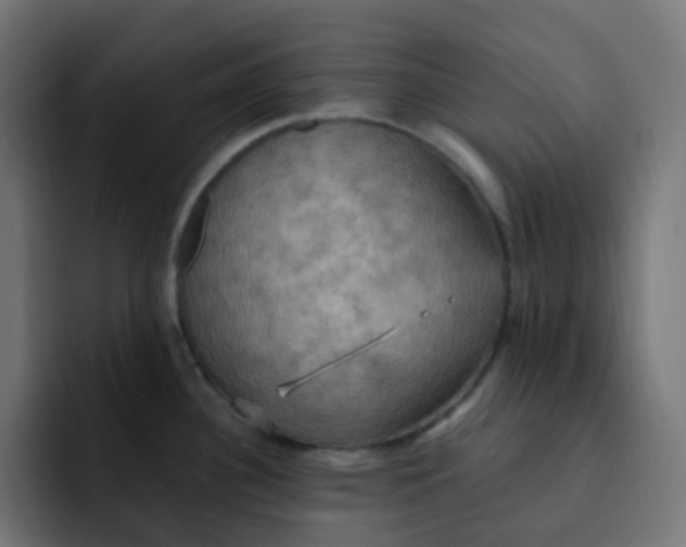 X0000092111340200710031224