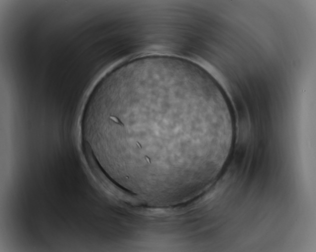 X0000092111341200710031224