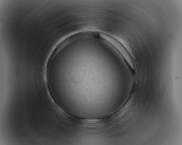 X0000092111342200710031224