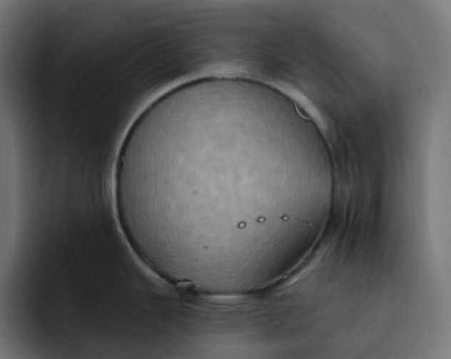 X0000092111343200710031224