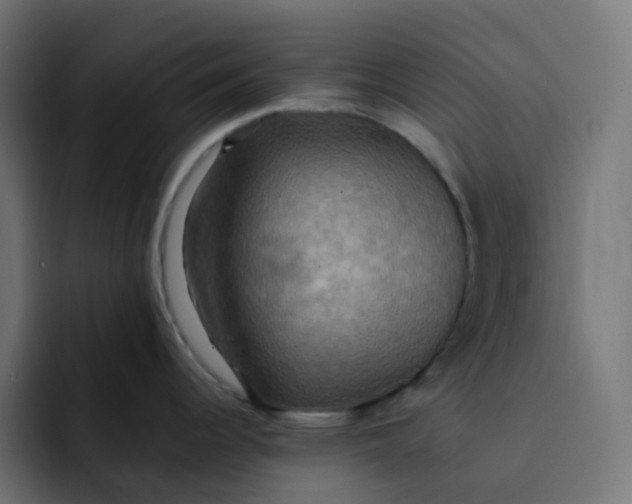 X0000092111344200710031224