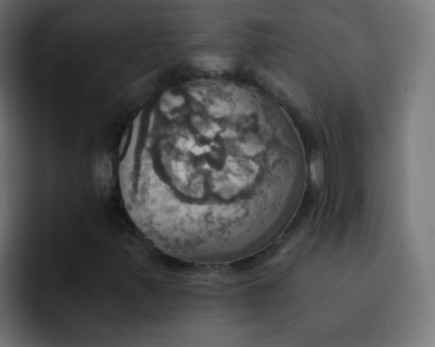 X0000092111347200710031223