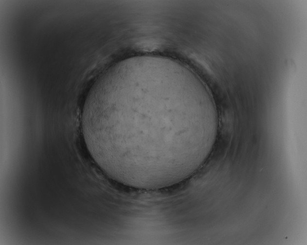 X0000092111349200710031223