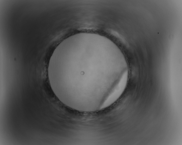 X0000092111350200710031223