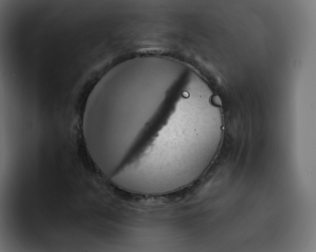 X0000092111351200710031223