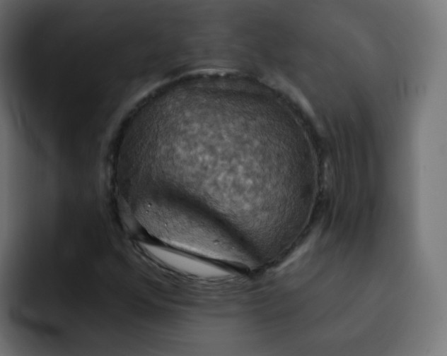 X0000092111352200710031223