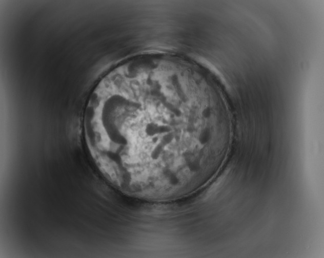 X0000092111355200710031223