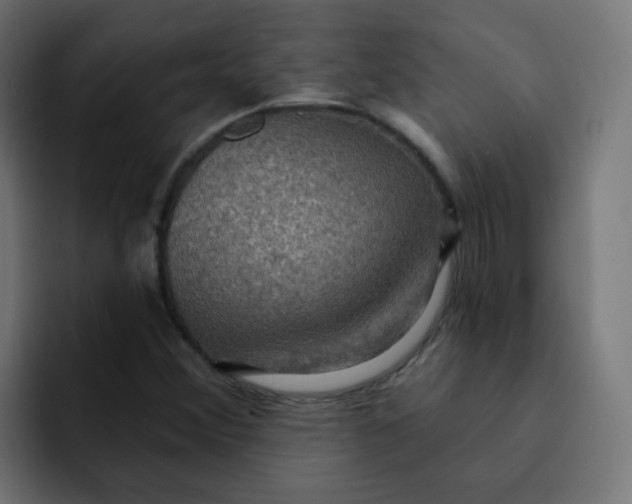 X0000092111356200710031223