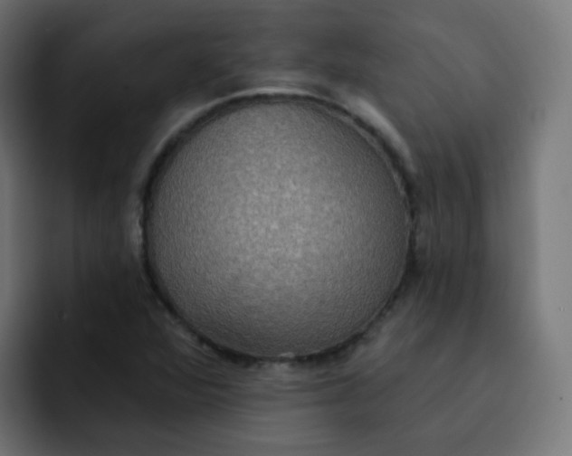 X0000092111360200710031223