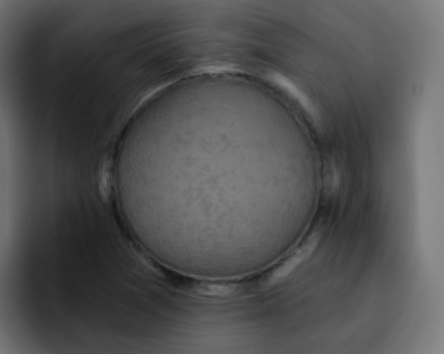 X0000092111361200710031223