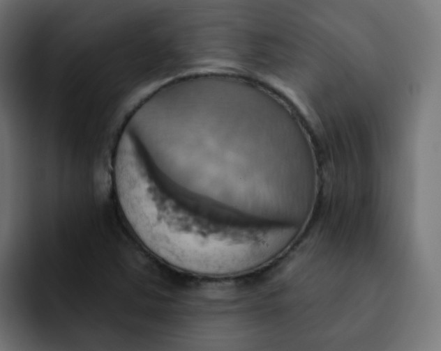 X0000092111363200710031223