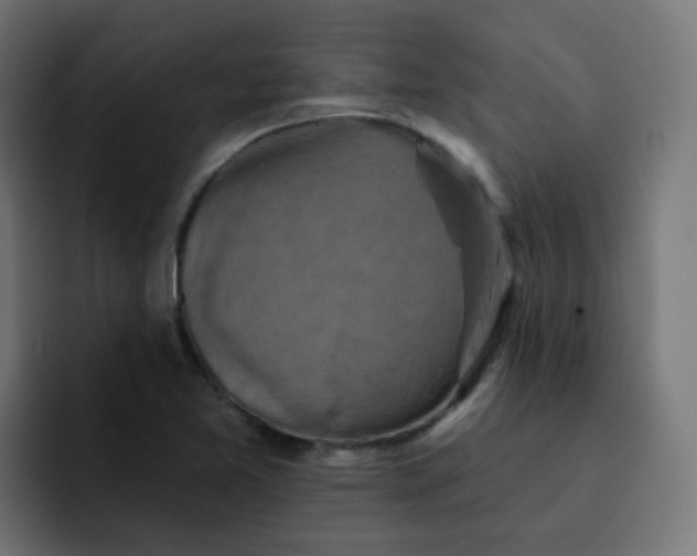 X0000092111365200710031223