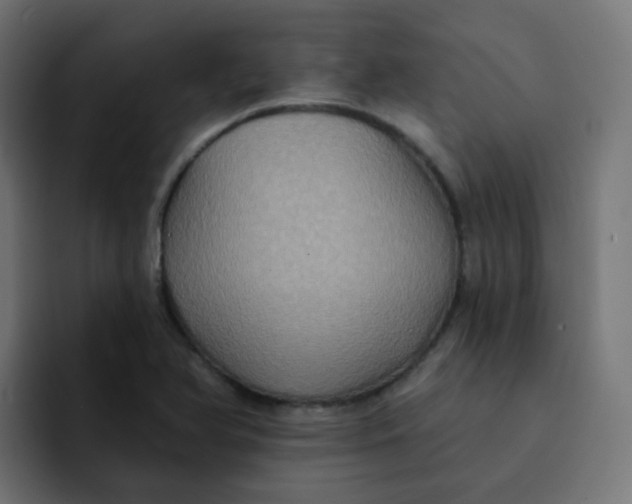 X0000092111366200710031223