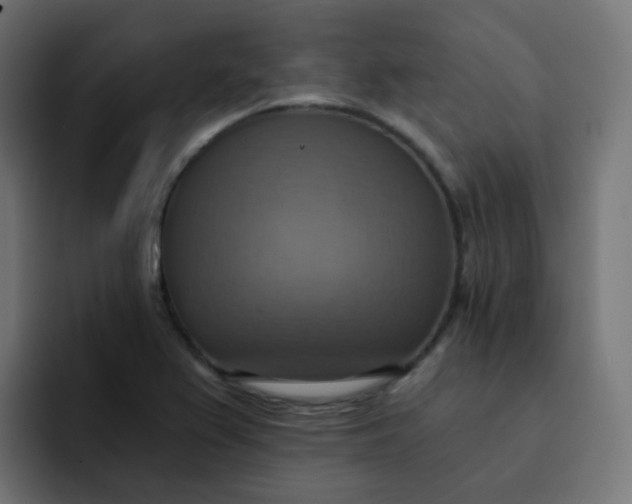 X0000092111367200710031223