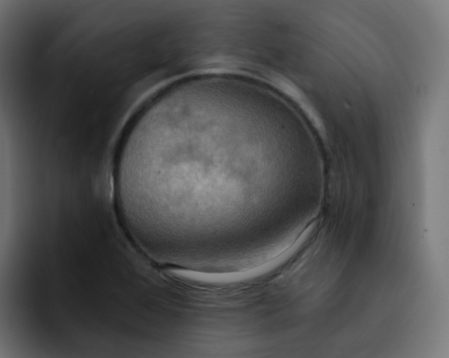 X0000092111368200710031223