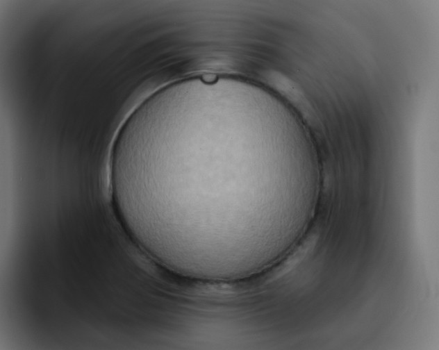 X0000092111370200710031223