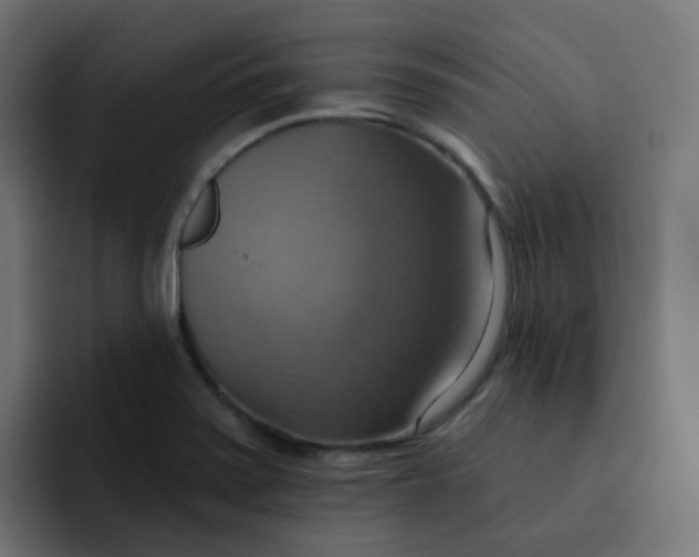 X0000092111371200710031223