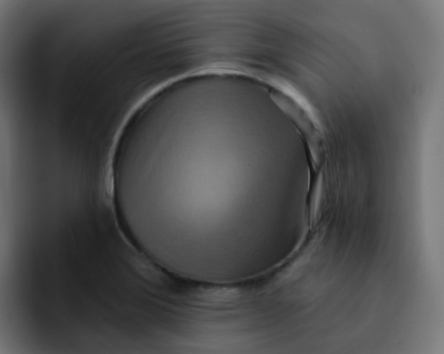 X0000092111372200710031223