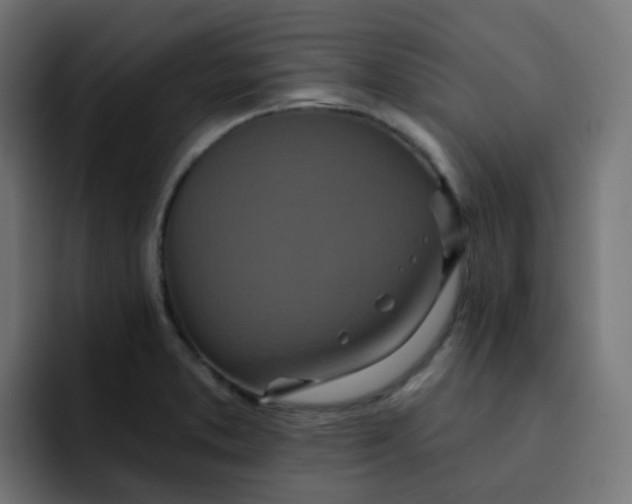 X0000092111373200710031223