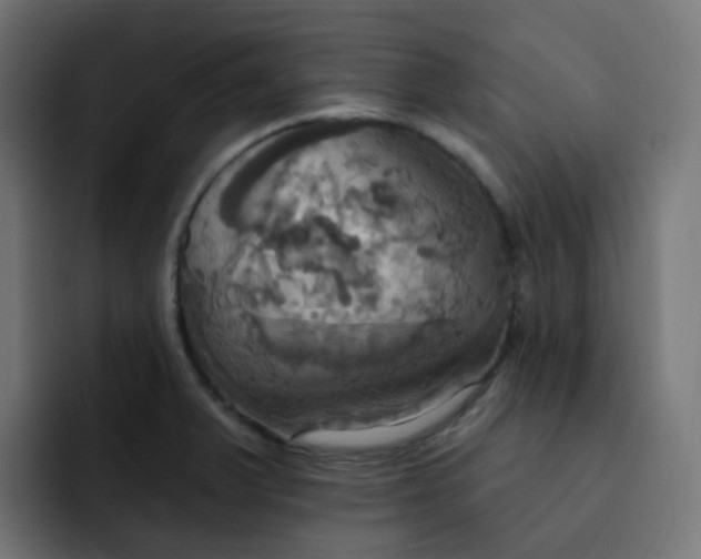 X0000092111375200710031223