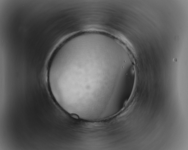 X0000092111376200710031223