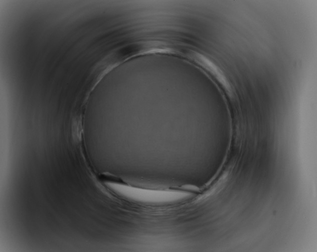 X0000092111377200710031223