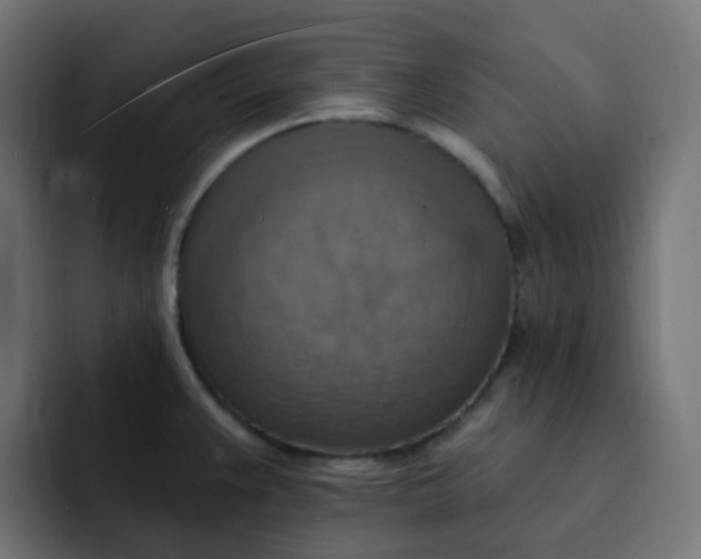 X0000092111383200710031223